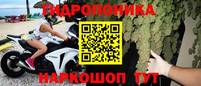 крисы Будённовск