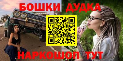 крисы Будённовск