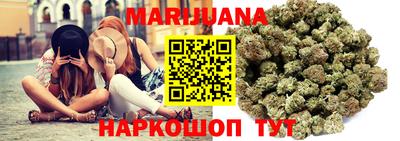 крисы Будённовск