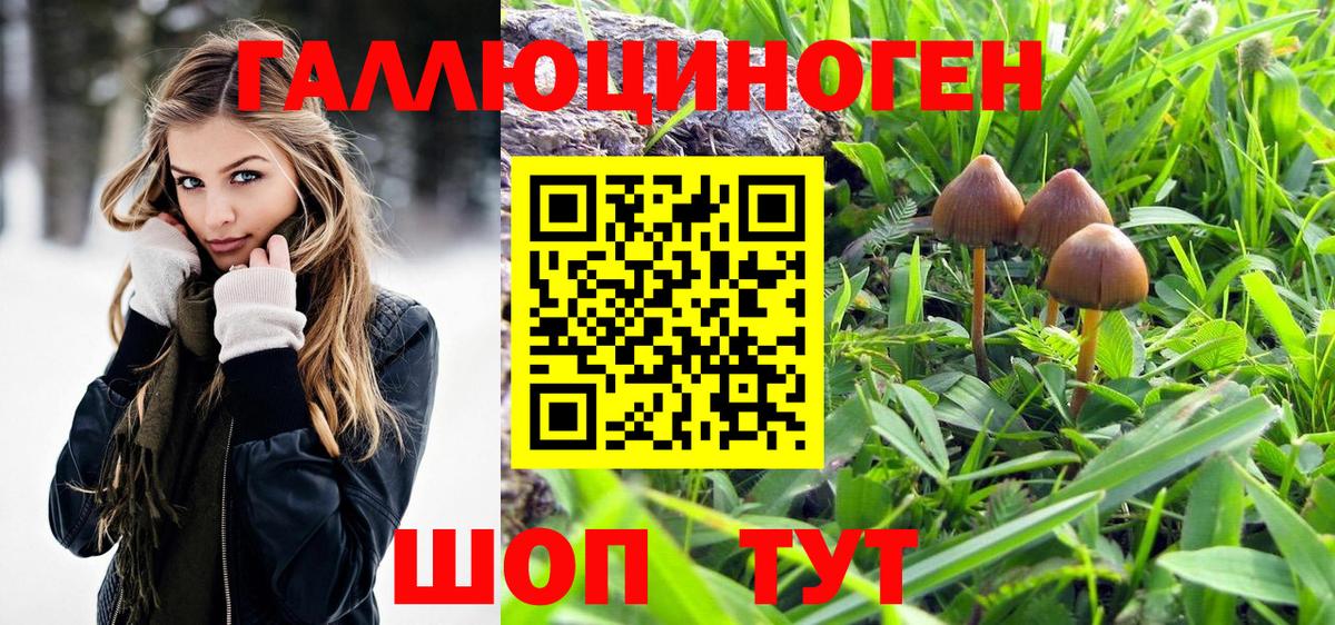 Псилоцибиновые грибы мухоморы  Вход с VPN  Орёл  Псилоцибиновые грибы Cubensis 