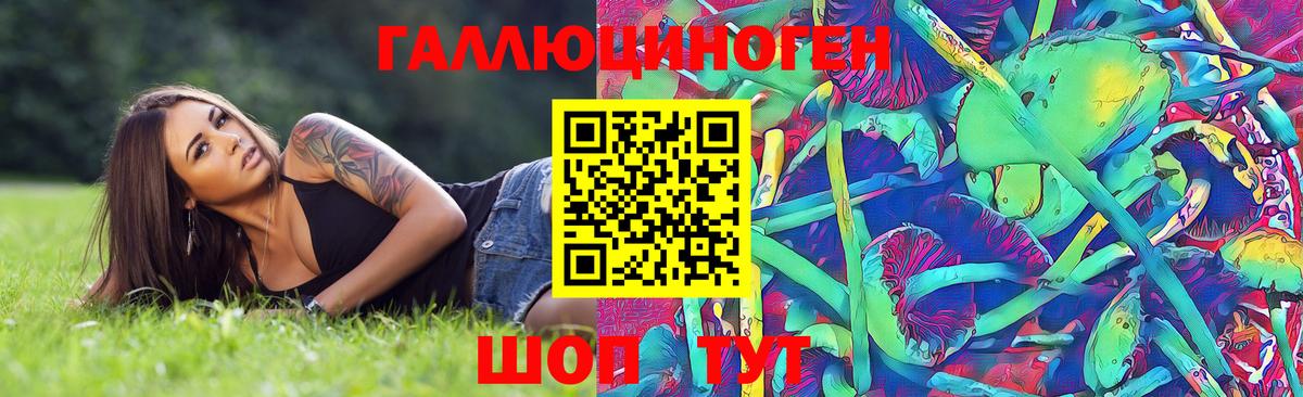 Псилоцибиновые грибы Psilocybine cubensis Орёл